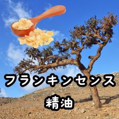 フランキンセンス精油写真1